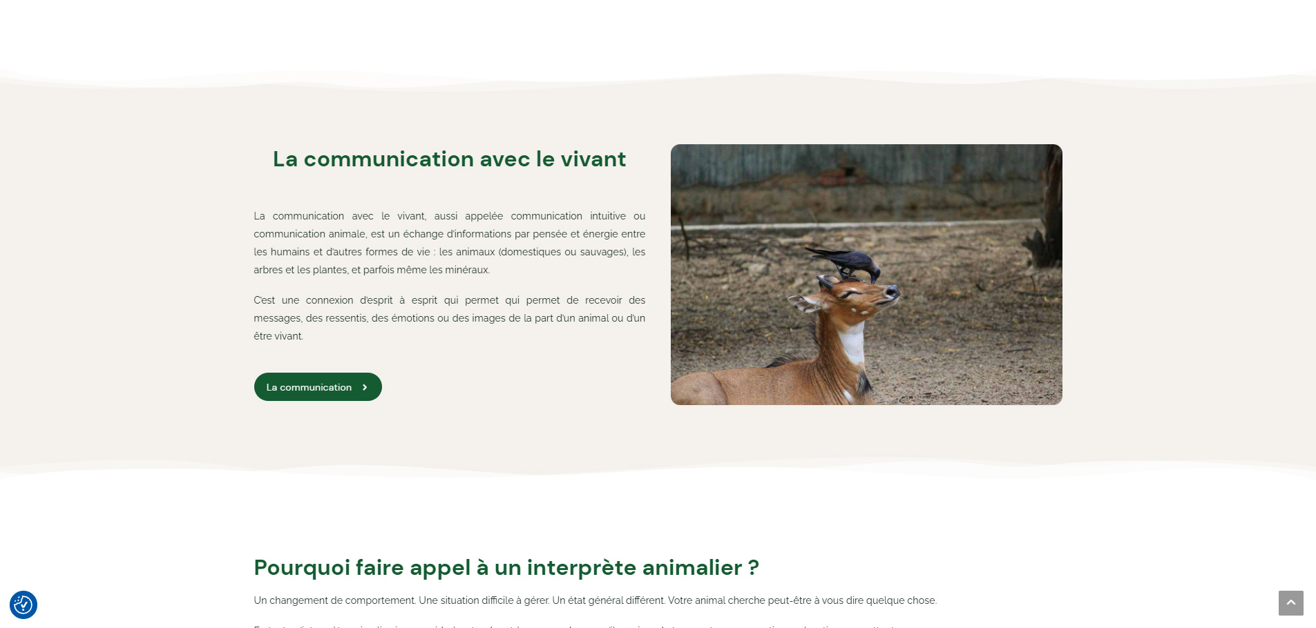 PAGE D'ACCUEIL LA COMMUNICATION ANIMALE